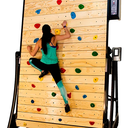 Child climbing portable Ledgewall