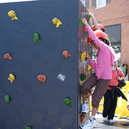 portable, Climbing panels, climb station